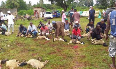 Afecod-Ramadhan-udhiya-2020 (3)